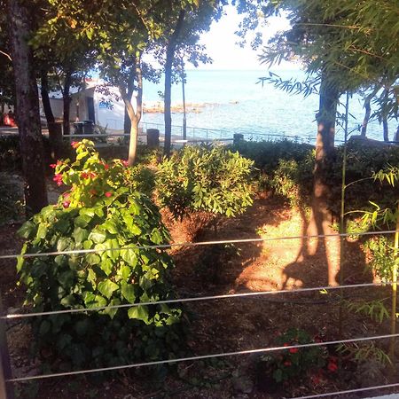 Apartmani "Ostro" Crikvenica Kraljevica Eksteriør billede