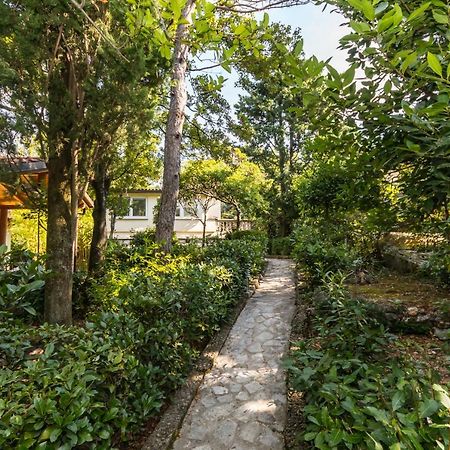 Apartmani "Ostro" Crikvenica Kraljevica Eksteriør billede